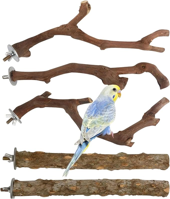 5 PCS Wood Bird Perches, Natural Grape Wood Branches by Homaisson