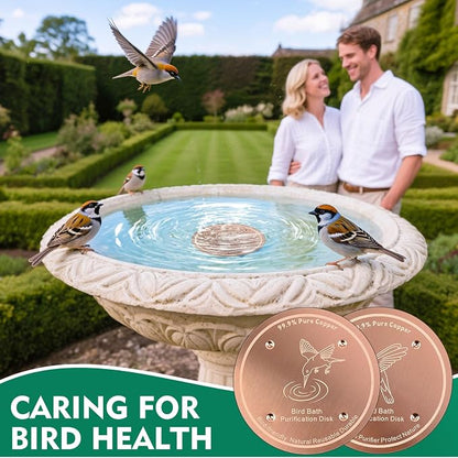 1 Pcs Copper Disc for Bird Bath | 99.99% Pure Copper Plate & Birdbath Disk | - Image 7