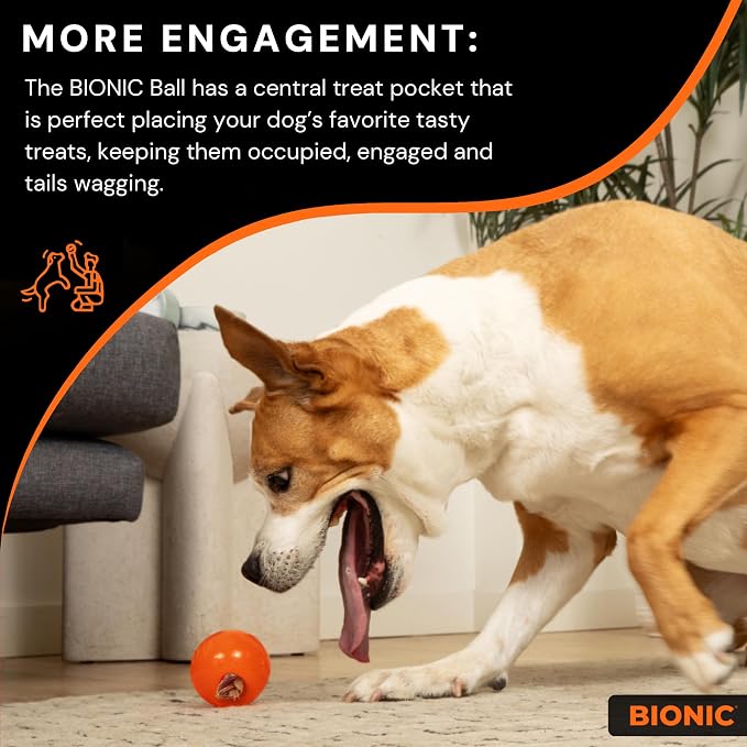 BIONIC Ball Dog Toy, Large - Image 5