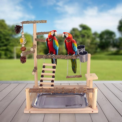 Bird Playground Natural Parrot Toys Perch Stand Cockatiel Swing - Image 8