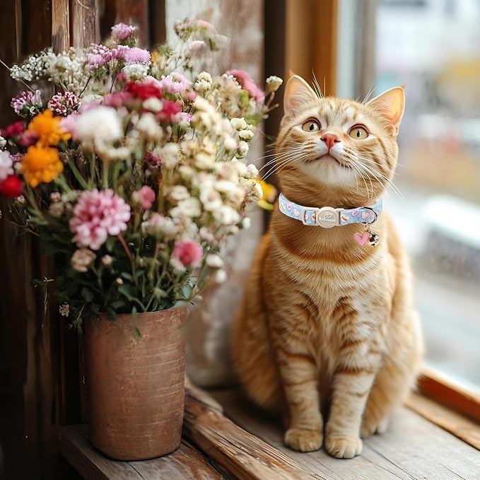 2 Pack Valentines Cat Collars - Image 5