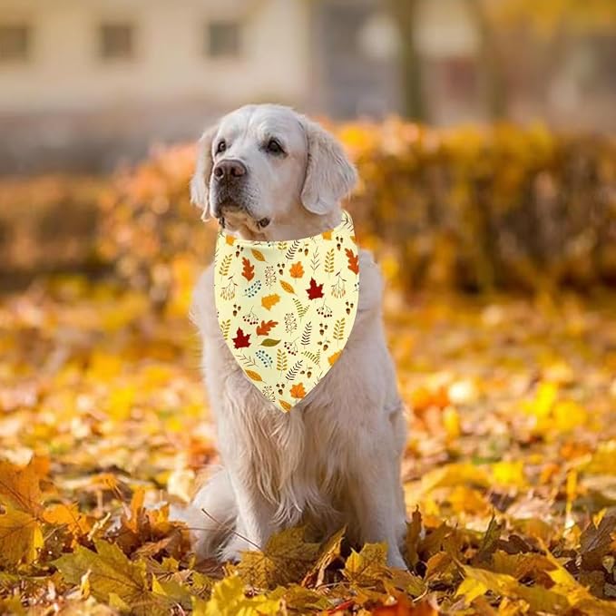 Thanksgiving Dog Bandana 2 Pack, All 4 Patterns Pumpkin Turkey Dog Scarf - Image 6