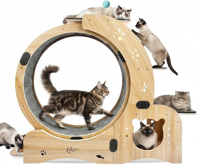 6-in-1 Cat Exercise Wheel by Unknown
