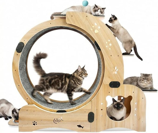 6-in-1 Cat Exercise Wheel by Unknown