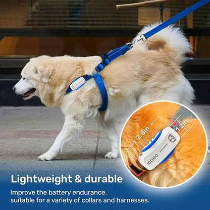 AI GPS Tracker for Dogs, Real Time Location and AI Vet Health Management - Image 6