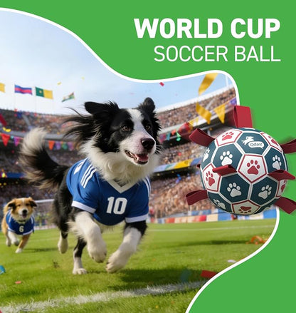 QDAN Dog Balls, World Cup Soccer Ball - Image 3