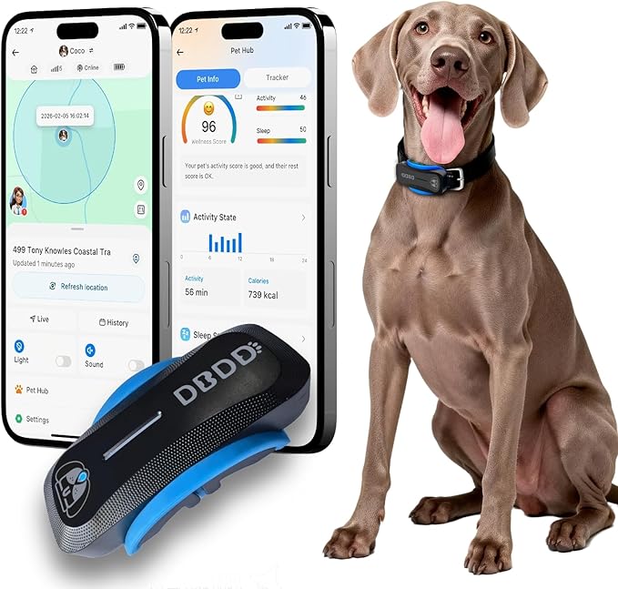 AI GPS Tracker for Dogs, Real Time Location and AI Vet Health Management by DBDD