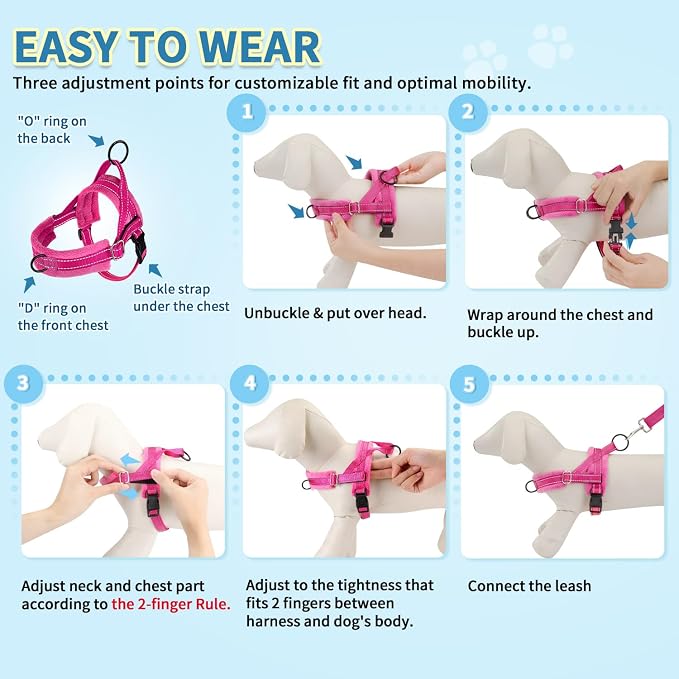 SlowTon No Pull Small Dog Harness and Leash Set, Puppy Soft Vest Harness Neck & - Image 9