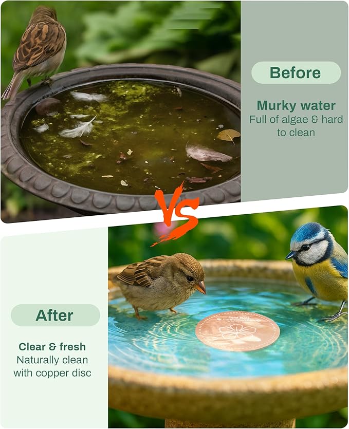 Bird Bath Purification Disk Pure Copper Outside Winter Solar Power Birdbath - Image 3