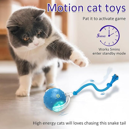 Interactive Cat Toys Ball for Indoor Cats Fast Rolling on Carpet, Chirping & - Image 3