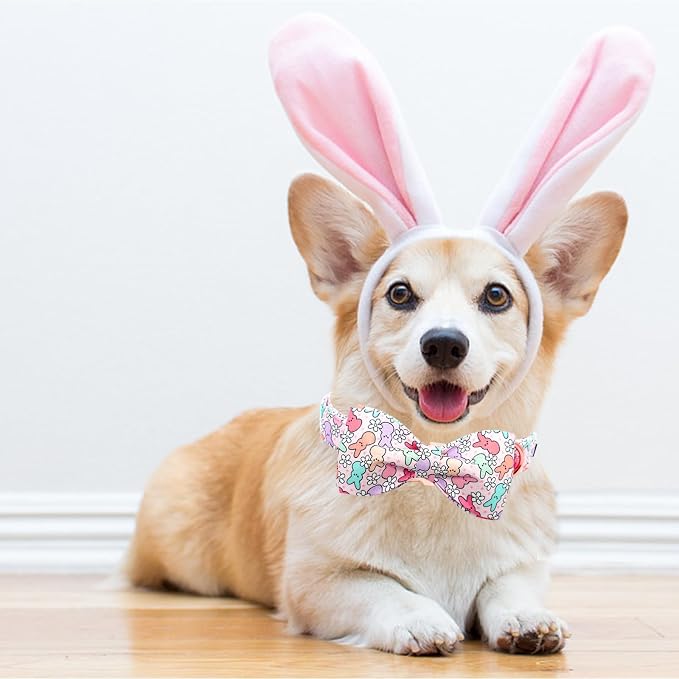 Lionheart glory Dog Bow Collar Easter Day Dog Collar - Image 4