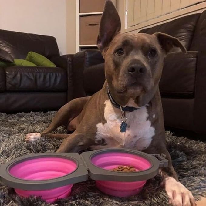 Loving Pets Bella Roma Double Diner Collapsible Dog Bowls - Image 5
