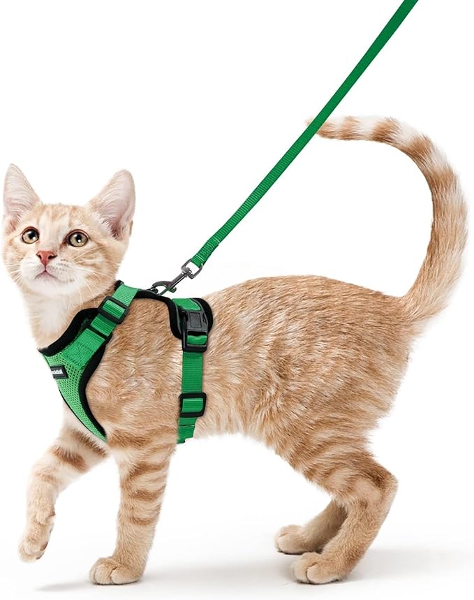 rabbitgoo Cat Harness and Leash by rabbitgoo