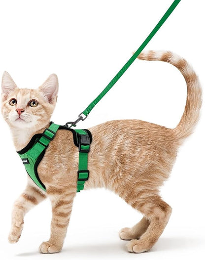 rabbitgoo Cat Harness and Leash by rabbitgoo