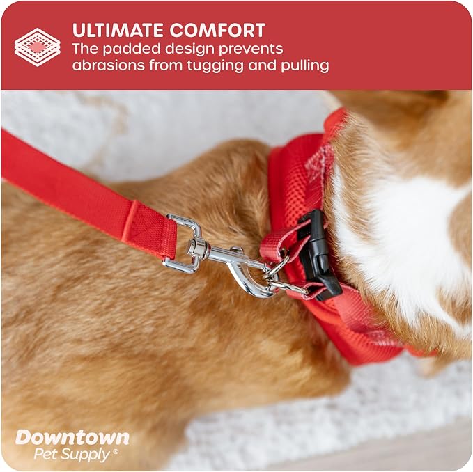 Downtown Pet Supply Step-in Dog Harness – No Pull, Adjustable Padded Mesh - Image 6