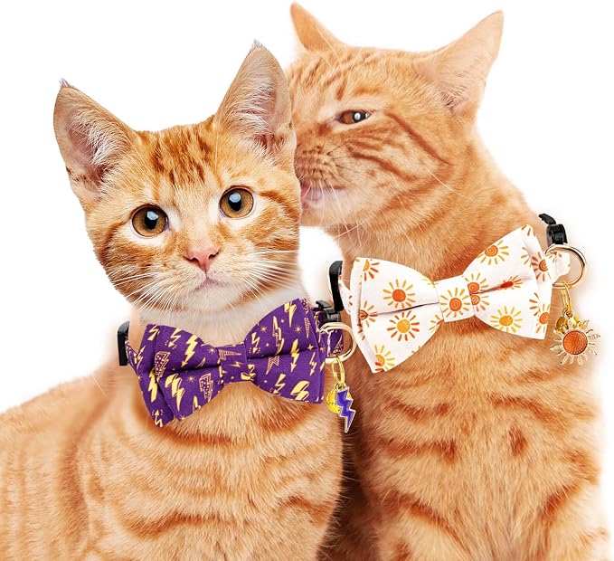 2 Pack Breakaway Cat Collar - Image 6