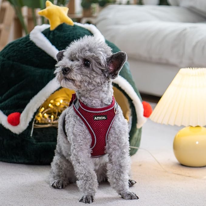 AIITLE Small Harness for Puppy - Image 2