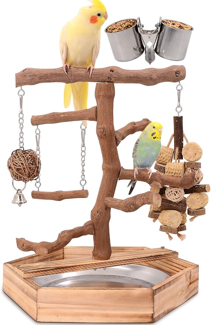 Natural Grape Wood Bird Parakeet Playground by LiMio