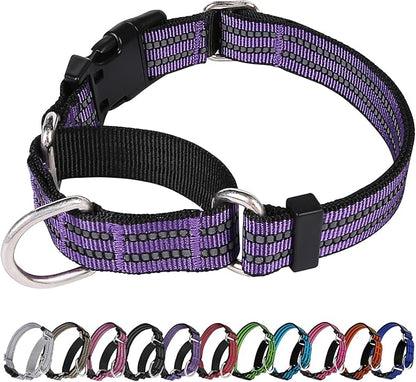 Martingale Dog Collar, Adjustable Nylon Reflective Collar by JOYEEIIOO