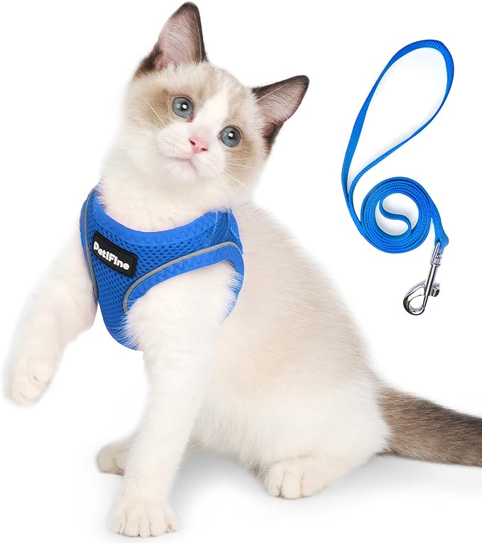 PetiFine Extra Small Step in Dog Harness and Leash Set, Cat Harness and Leash by PetiFine