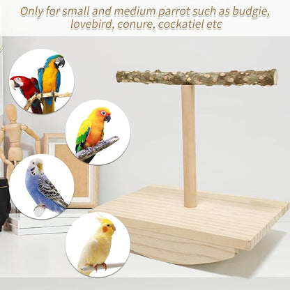Natural Wood Bird Perch Stand, Rocking Perch - Image 5