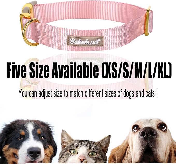 Nylon Dog Collar - Image 6