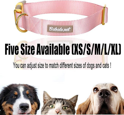 Nylon Dog Collar - Image 8