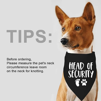 2 Pack Baby Security in Training and Head of Security, Dog Bandanas - Image 8