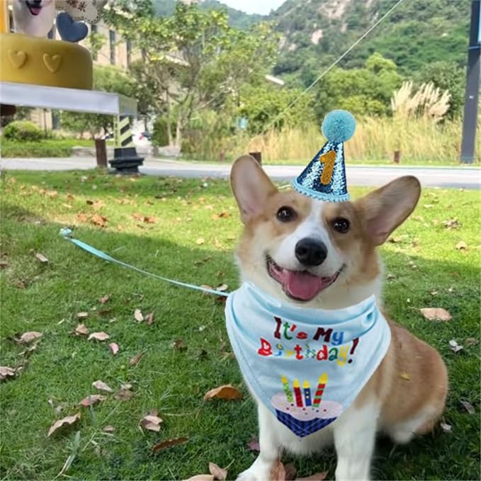 Pet Birthday Party Set, Dogs Bandana and Dog Birthday Hat - Image 8