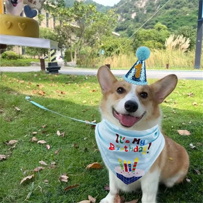 Pet Birthday Party Set, Dogs Bandana and Dog Birthday Hat - Image 8