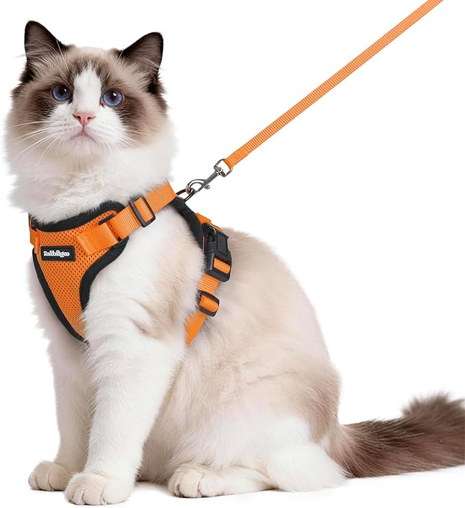 rabbitgoo Cat Harness and Leash by rabbitgoo