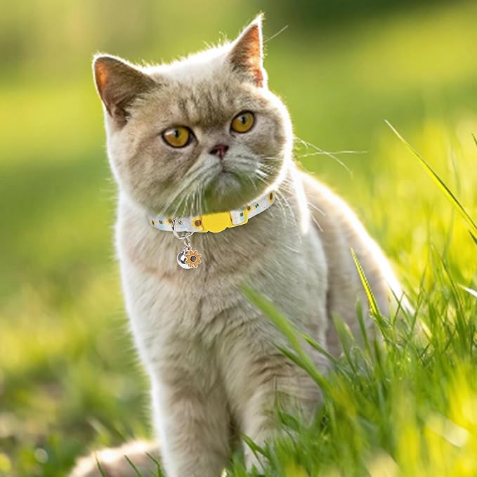 Breakaway Cat Collar with Bells, 3 Pack Summer Spring Cat Collar - Image 6