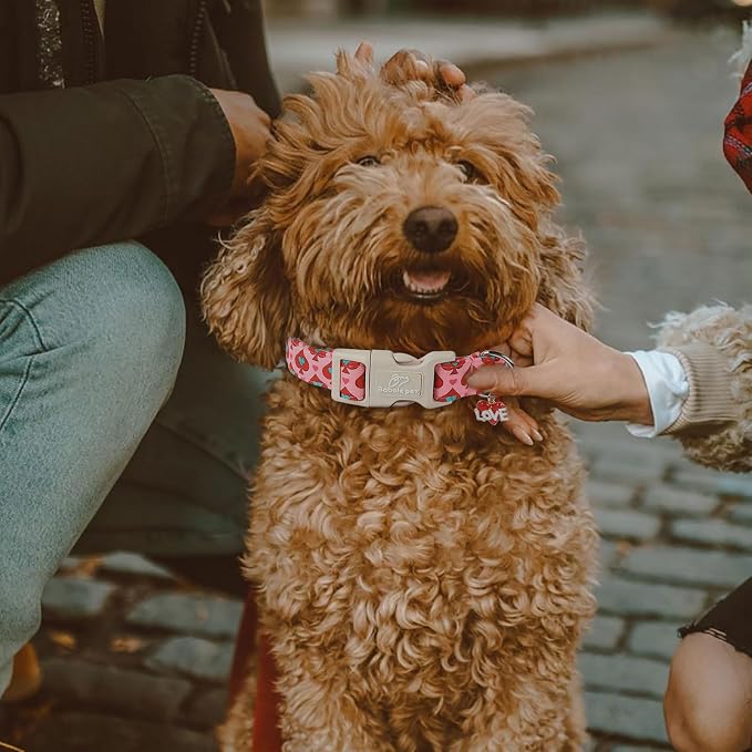 Valentines Dog Collar for Small Dogs - Image 4