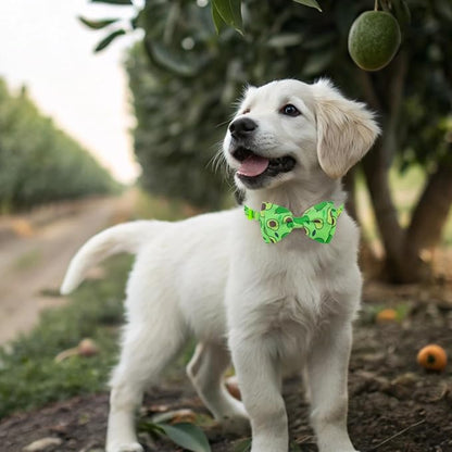 EXPAWLORER Cute Cat Collar Breakaway - Image 7