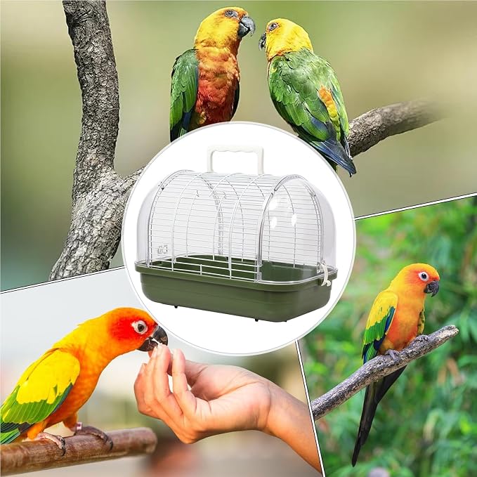 Small Bird Cage, Transparent Bird Travel Carrier, Full View Cockatiel Cage - Image 4