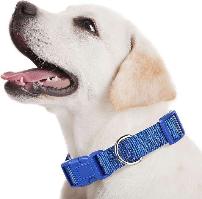 Amylove 27 Pcs Dog Collar Bulk Adjustable Nylon Puppy Collar - Image 6