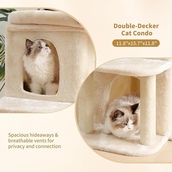 Heybly Cat Tree, 25.6-inch Cat Tower - Image 8
