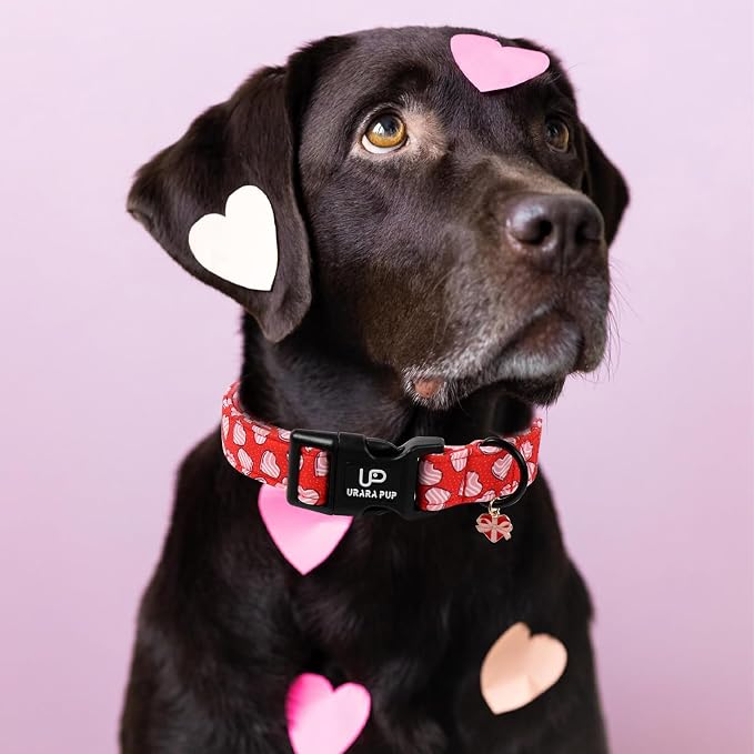 Valentine's Dog Collar, UP URARA PUP Pink Heart in Red Adjustable Pet Collar - Image 6