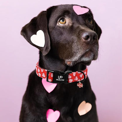 Valentine's Dog Collar, UP URARA PUP Pink Heart in Red Adjustable Pet Collar - Image 6
