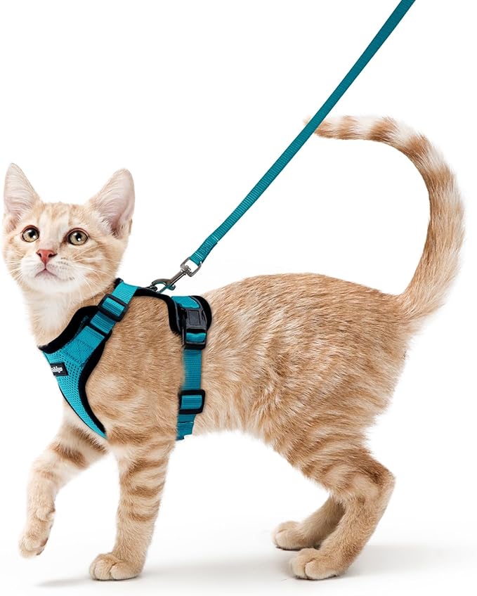 rabbitgoo Cat Harness and Leash by rabbitgoo