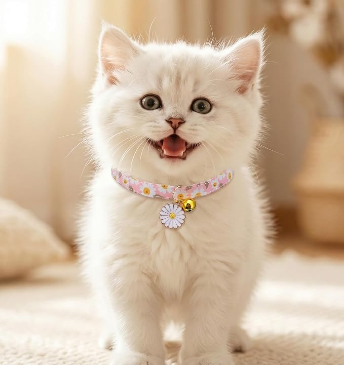 2 Pack Cat Collar Breakaway, Daisy Collar - Image 8