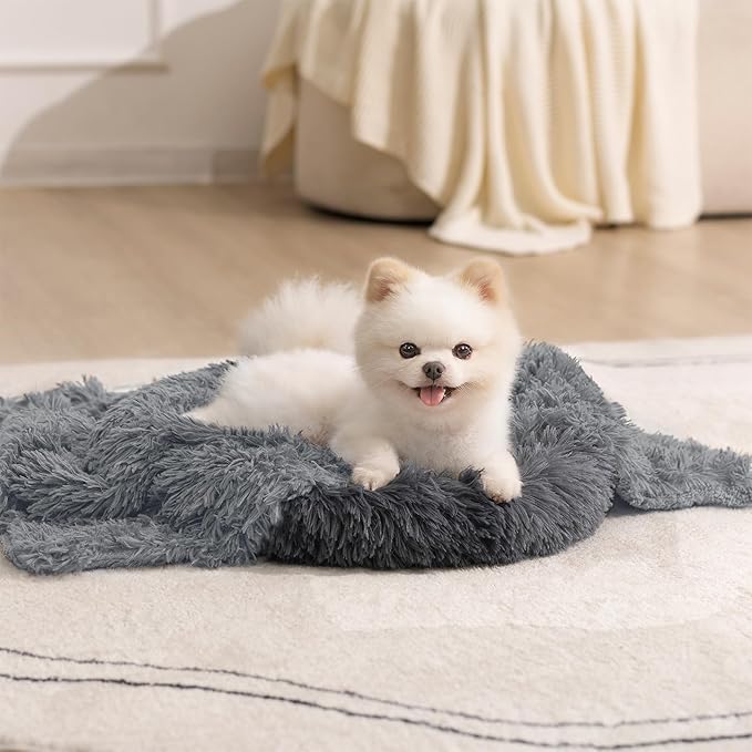 gogobunny Waterproof Dog Blanket by gogobunny
