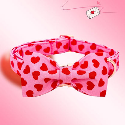 Lionheart Glory Valentine's Day Dog Collar - Image 3