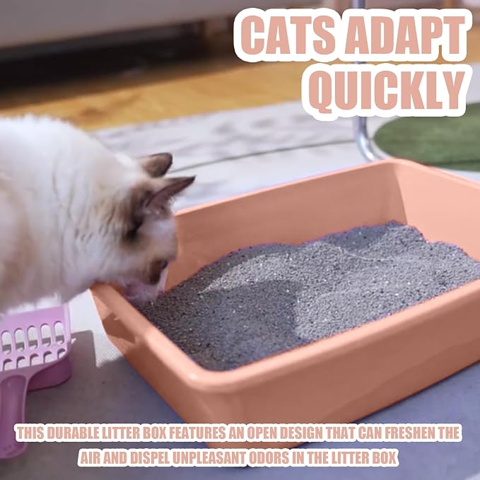 Small Litter Box, Plastic Kitten Litter Box, 13.9 x 9.8 x 3 Inch Open Litter Box - Image 4