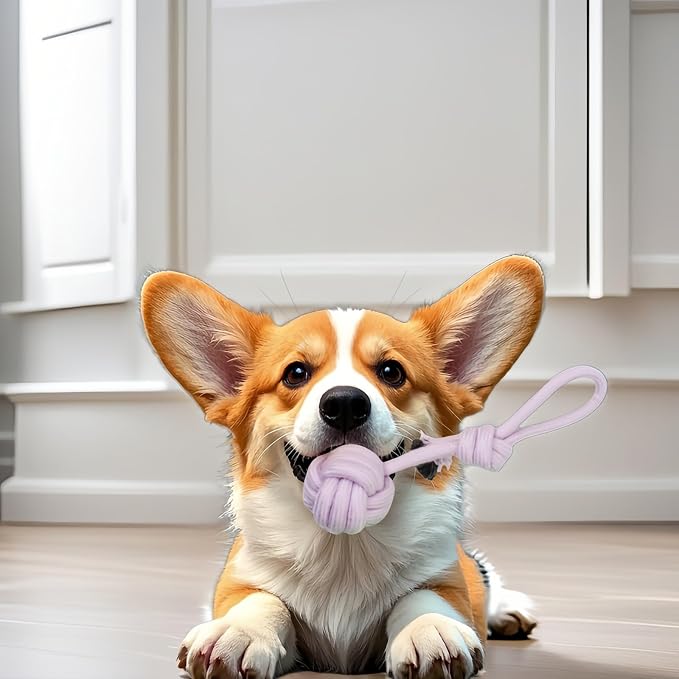 CandyColor Dog Cat Chew Rope Toy - 30cm Non-Toxic Dental Teething Toy - Image 6