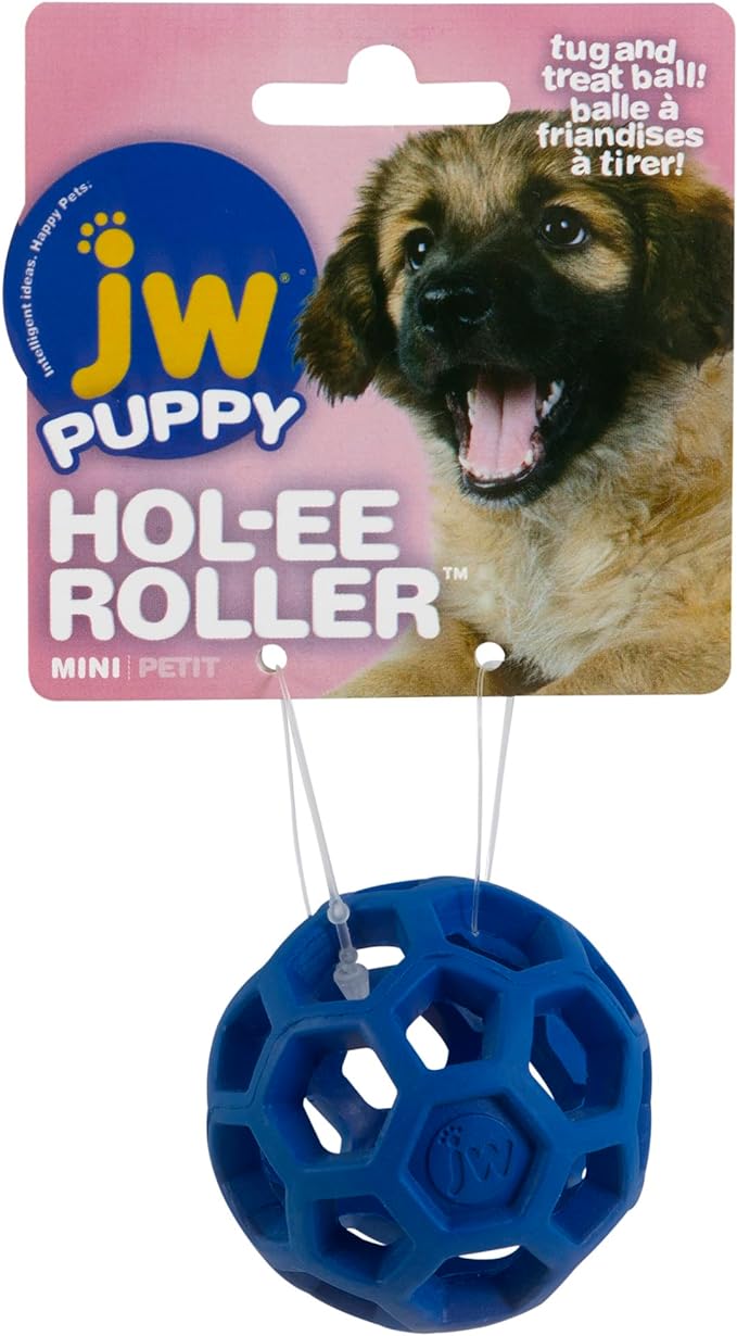 JW Hol-ee Roller Dog Fetch Treat Dispenser Puzzle Ball; Mini 1.75 Inch Diameter by JWPet