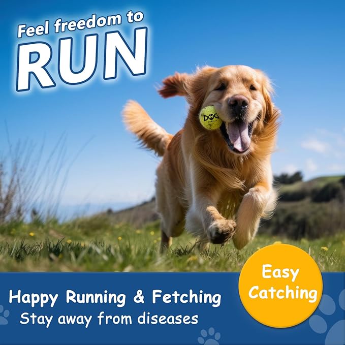 Squeaky Tennis Balls for Dogs - Image 3