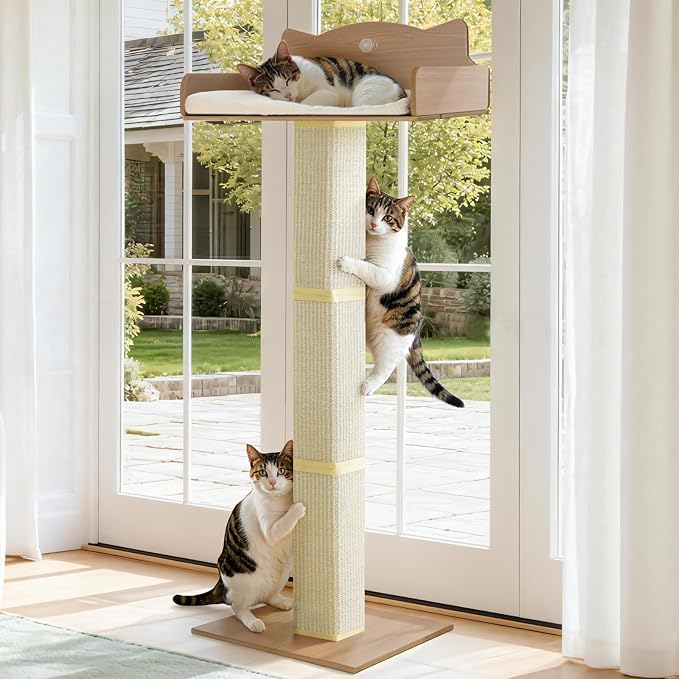 Cat Window Perch with Thick Sisal Scratching Post, Cats Hammock by GreenPetopia