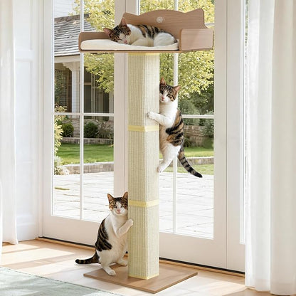 Cat Window Perch with Thick Sisal Scratching Post, Cats Hammock by GreenPetopia