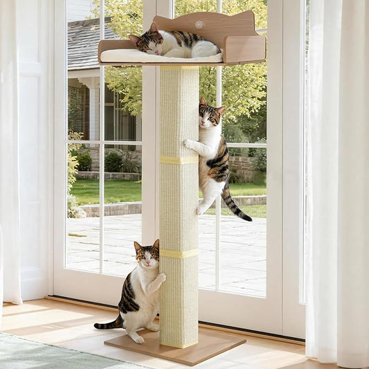 Cat Window Perch with Thick Sisal Scratching Post, Cats Hammock by GreenPetopia